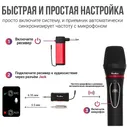 Система беспроводных микрофонов Tesler WMS-700