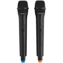Караоке-система TESLER WMS-320